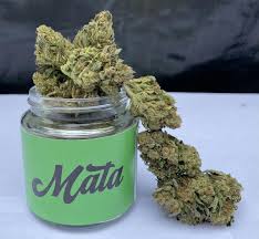 Buy East Coast Sour Diesel